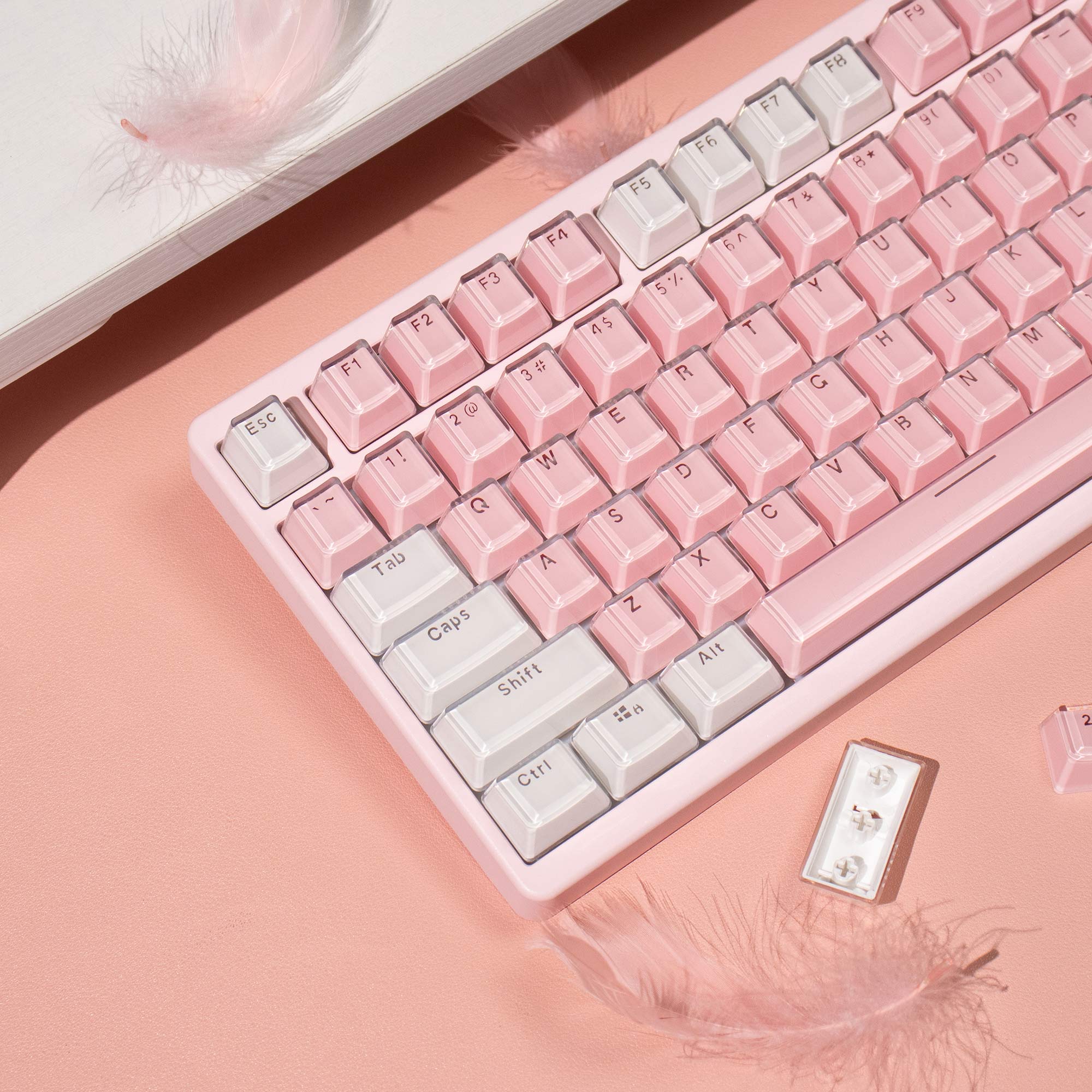 Crystal White Pink Jelly Keyca – обзор и цена Pc Gaming Pink